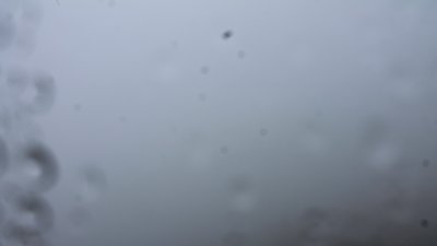 Fotowebcam Steinlingalm-Ost
