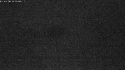 Live Webcam Störche Grabenstätt-Winkl