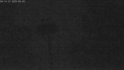 Live Webcam Störche Grabenstätt-Winkl
