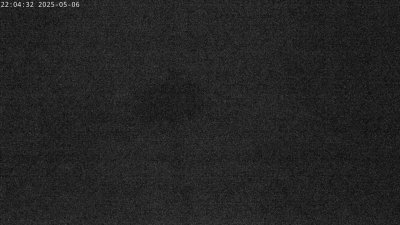 Live Webcam Störche Grabenstätt-Winkl