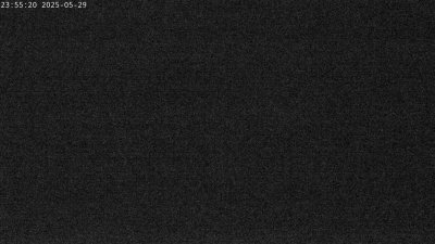 Live Webcam Störche Grabenstätt-Winkl
