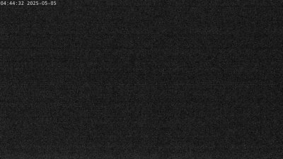 Live Webcam Störche Grabenstätt-Winkl