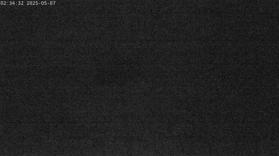 Live Webcam Störche Grabenstätt-Winkl
