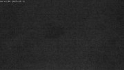Live Webcam Störche Grabenstätt-Winkl