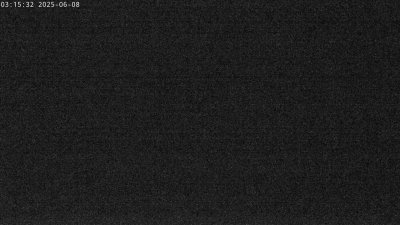 Live Webcam Störche Grabenstätt-Winkl