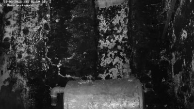 Live Webcam Fledermaushaus Waischenfeld #1