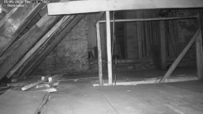 Live Webcam Fledermaushaus Waischenfeld #2