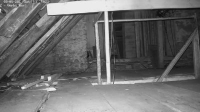 Live Webcam Fledermaushaus Waischenfeld #2