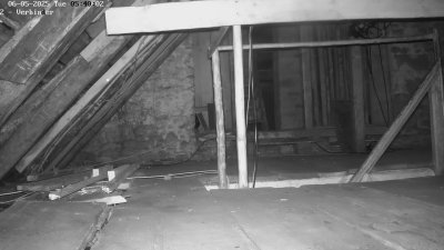 Live Webcam Fledermaushaus Waischenfeld #2