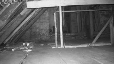 Live Webcam Fledermaushaus Waischenfeld #2