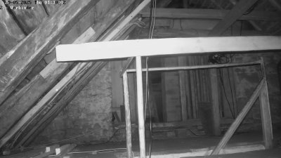 Live Webcam Fledermaushaus Waischenfeld #2
