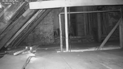 Live Webcam Fledermaushaus Waischenfeld #2
