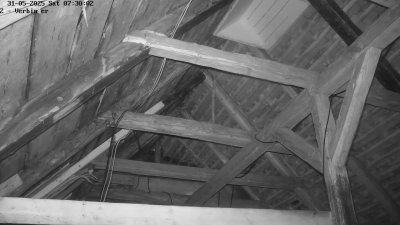 Live Webcam Fledermaushaus Waischenfeld #2