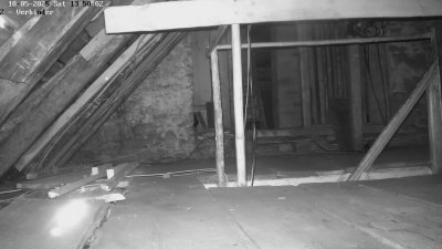 Live Webcam Fledermaushaus Waischenfeld #2