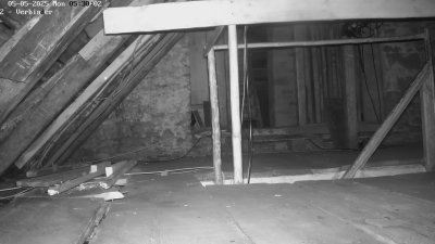 Live Webcam Fledermaushaus Waischenfeld #2