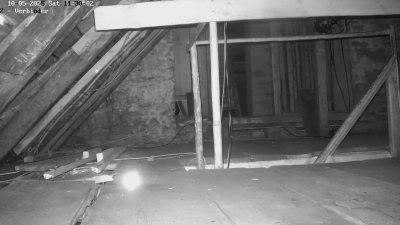 Live Webcam Fledermaushaus Waischenfeld #2