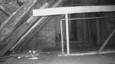 Live Webcam Fledermaushaus Waischenfeld #2