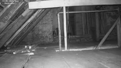 Live Webcam Fledermaushaus Waischenfeld #2