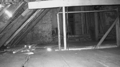 Live Webcam Fledermaushaus Waischenfeld #2