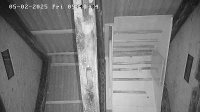 Live Webcam Fledermaushaus Waischenfeld #3