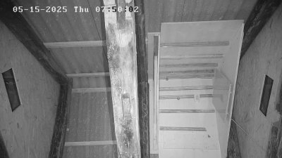 Live Webcam Fledermaushaus Waischenfeld #3