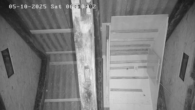Live Webcam Fledermaushaus Waischenfeld #3
