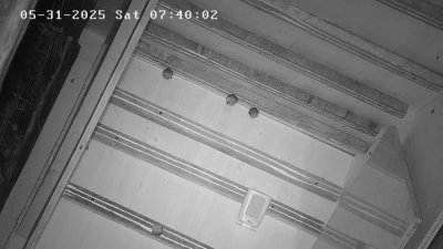 Live Webcam Fledermaushaus Waischenfeld #3