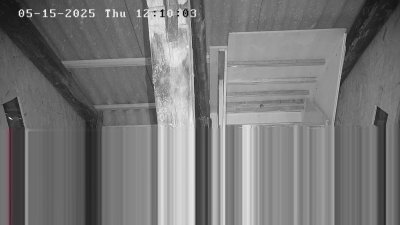 Live Webcam Fledermaushaus Waischenfeld #3