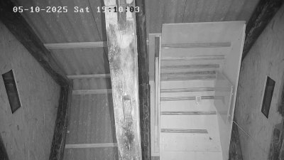 Live Webcam Fledermaushaus Waischenfeld #3