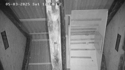 Live Webcam Fledermaushaus Waischenfeld #3