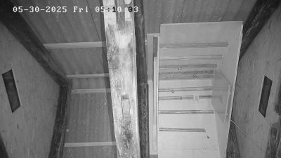 Live Webcam Fledermaushaus Waischenfeld #3