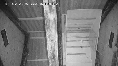 Live Webcam Fledermaushaus Waischenfeld #3