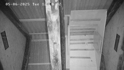 Live Webcam Fledermaushaus Waischenfeld #3