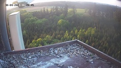 Live Webcam Wanderfalken Hohenkammer #2